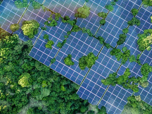 solar panel with greenery