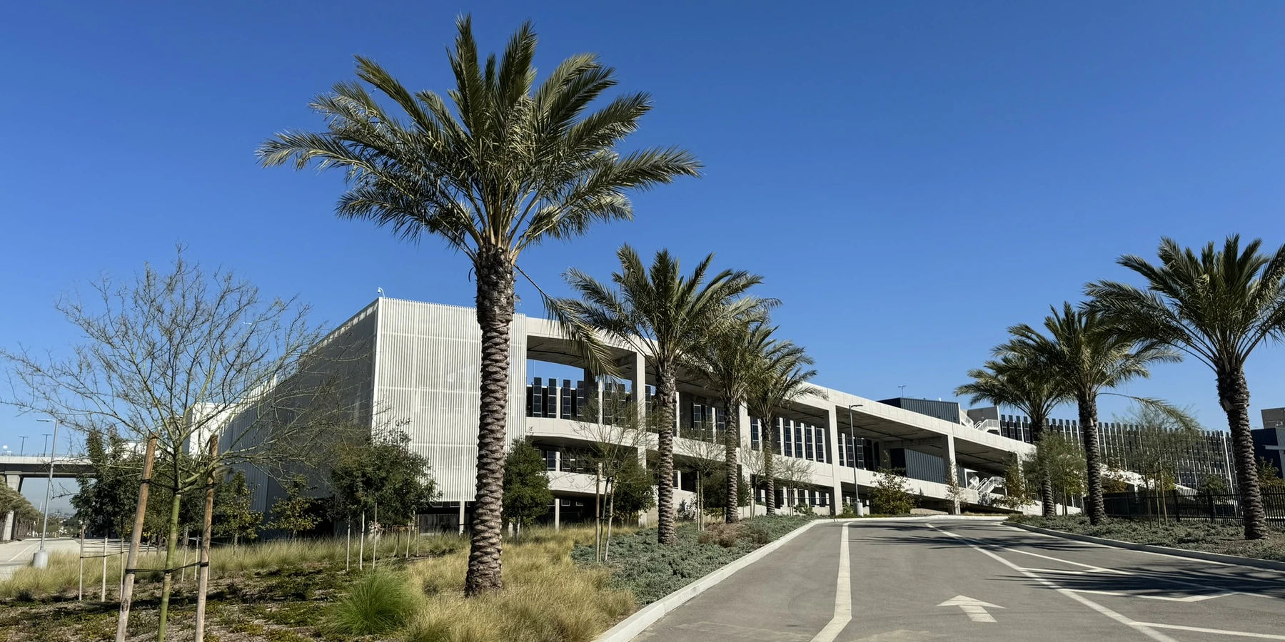 airport and palm trees