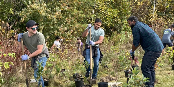 men planting trees