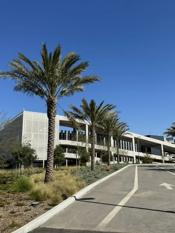 airport and palm trees